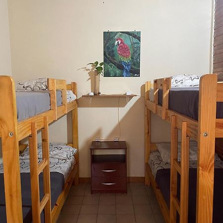 Bungalow Hostel Iguazu Puerto Iguazú Exteriör bild