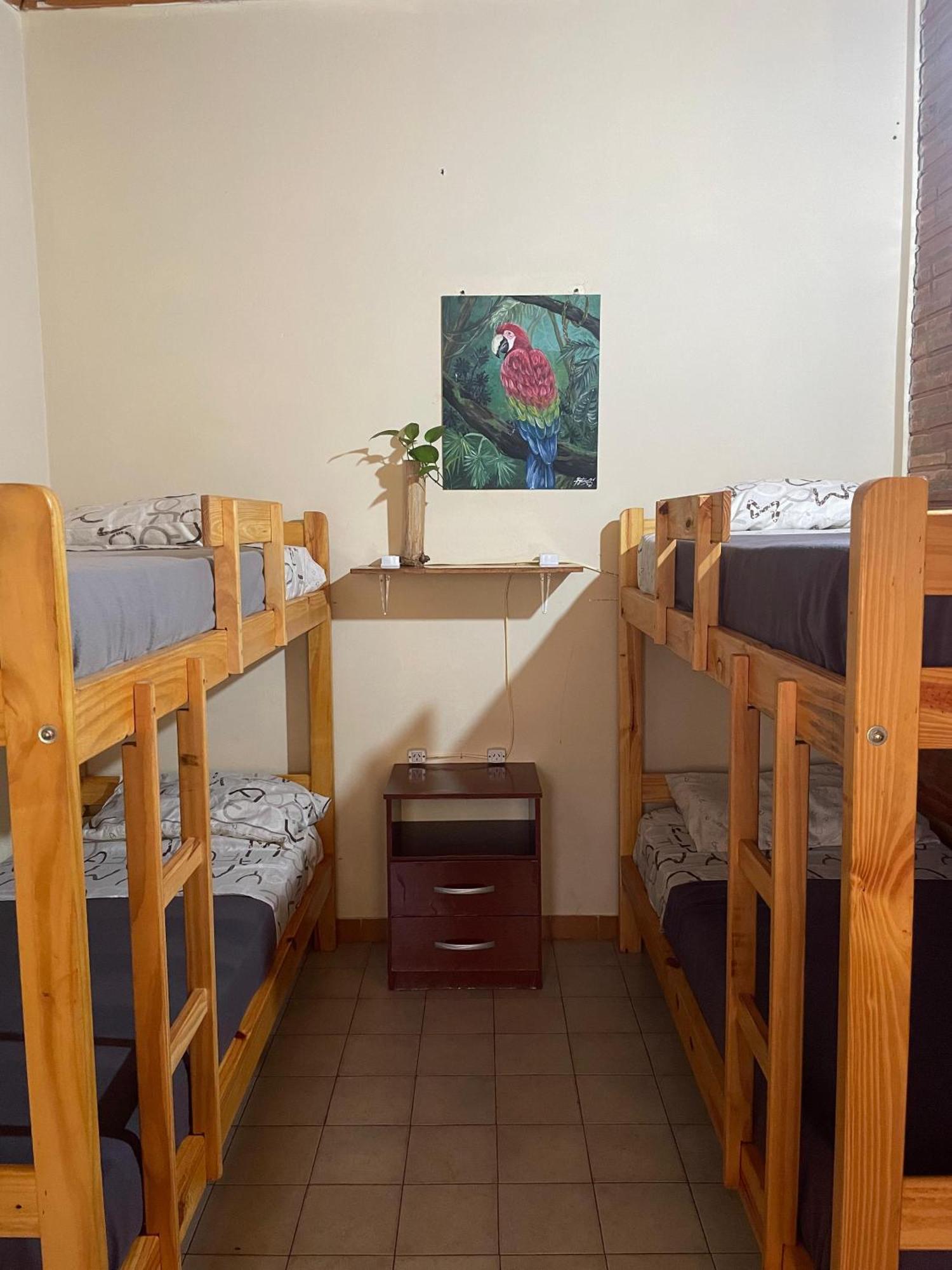 Bungalow Hostel Iguazu Puerto Iguazú Exteriör bild